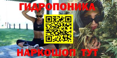 эйфоретик Краснодар