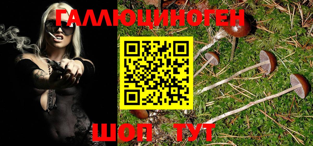 Псилоцибиновые грибы Psilocybine cubensis  Вход с VPN  Ейск 